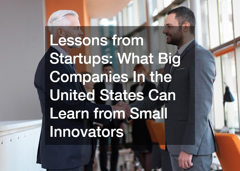 Lessons from Startups What Big Companies In the United States Can Learn from Small Innovators